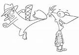 Ferb Phineas Perry Platypus Malvorlagen sketch template