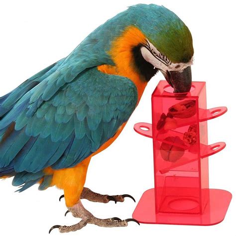 large image parrotpet parrot toys bird supplies foraging parrot