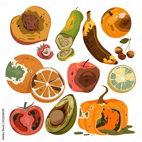 rotten food product set vector illustration cartoon isolated spoiled  damaged fruit