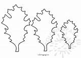 Oak Leaves Different Size Template sketch template