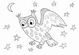 Coloring Night Owl Birds Kids Pages Animals Print Color Starry Animal Printable Justcolor sketch template