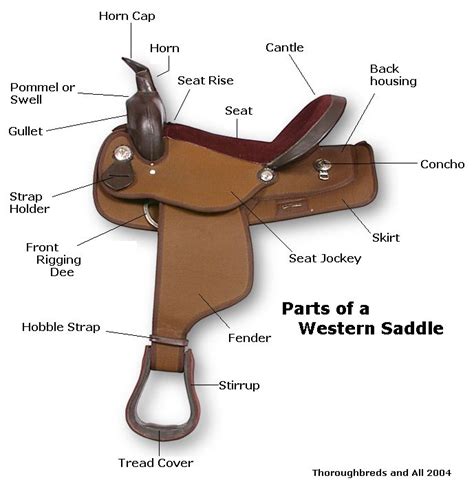 western saddle parts quiz bowl pinterest westerns saddles  western saddles
