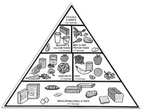 lusaaohu food pyramid pictures  food