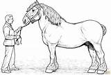 Coloring Pages Horse Cool sketch template