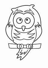 Owl Drawings Coloring Pages High Resolution Backgrounds Recommend Halloween Similar Days These sketch template