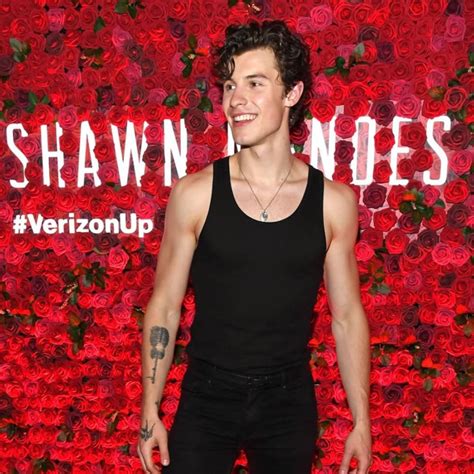 Shawn Mendes Is Close To Presenting Hole Part 29