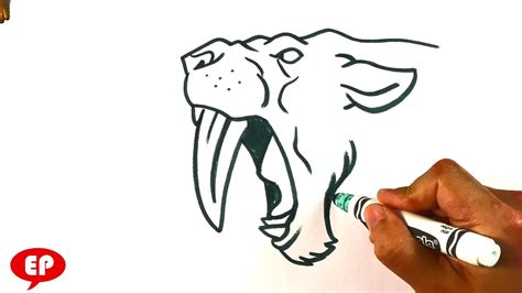 draw sabretooth tiger smilodon youtube