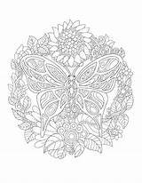 Coloring Pages Butterfly Nature Colorit Books Colors Adults Colorful Drawing Mandala Printable Grab Wolfes Adult Cute Doodle Butterflies Choose Board sketch template