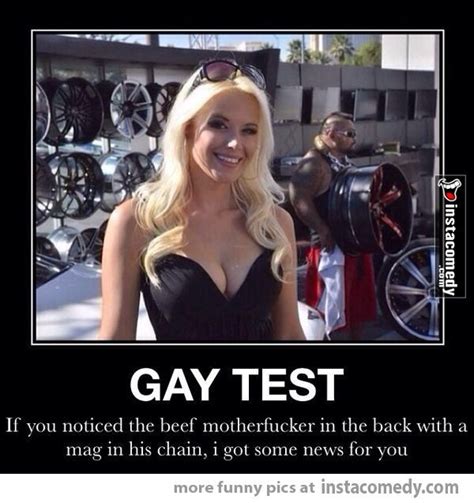 gay test funny captions pinterest gay adult humor and humor