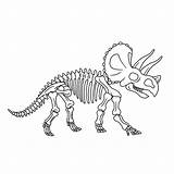 Dino Fossielen Dinosaurios Dinosaurio Esqueleto Skeletten Triceratops Fossil Fósiles Esqueletos Skelet Dinosaurus Leukvoorkids Rex Preescolar Een Manualidades Tekeningen Leuk Huesos sketch template