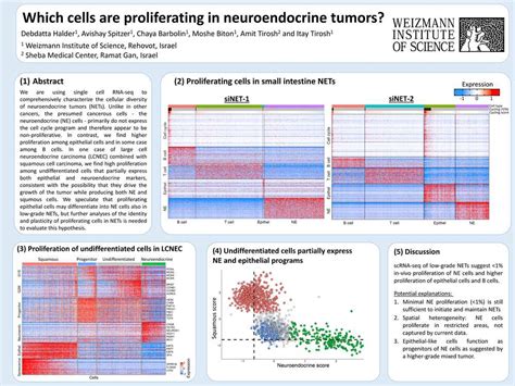 which cells are proliferating in neuroendocrine tumors netrf