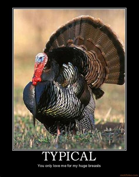 11 Turkey Memes That Will Get You Ready To Blast Those Birds