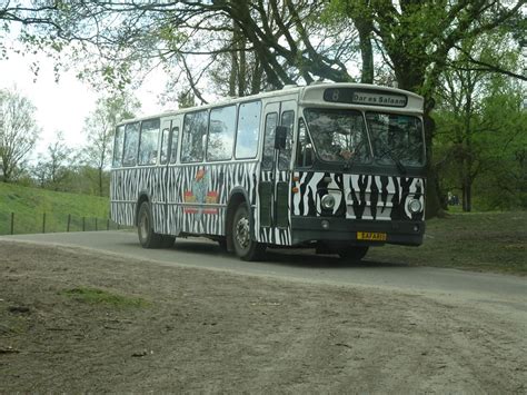 ourtravelpicscom travel  series hilvarenbeek photo  safari bus