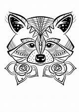 Renard Magnifique Raccoon Fuchs Doodles Adultes Mandalas Difficiles Ausmalen Ours Erwachsene Extraordinaire Zentangle Facile Animali Classique Tete Mycoloring Loisirs Difficile sketch template