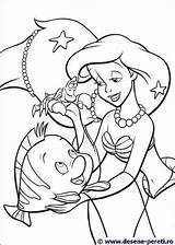Sebastian Flounder Colorat Sirena Mica Sirenita Desene Colouring Buna Kids Clipart Havfrue Arielle sketch template