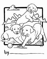 Puppy Lab Labrador Getdrawings sketch template