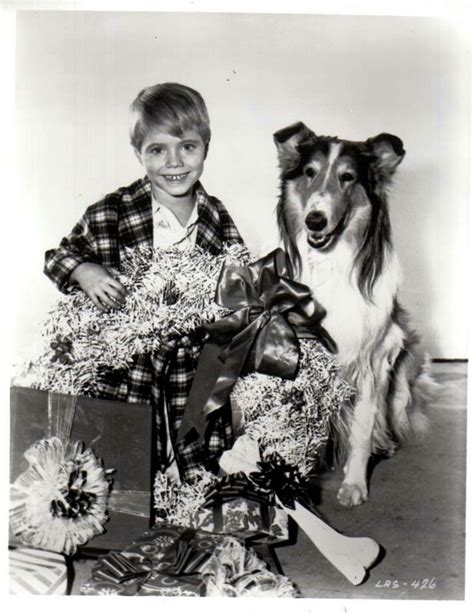 102 best images about lassie t v series from 1954 1974 and movies on pinterest trainers