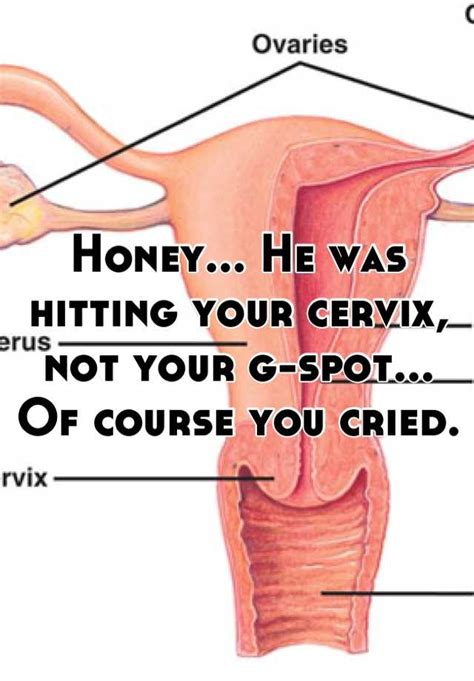 honey he was hitting your cervix not your g spot of
