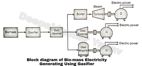 biomass electrical power plants