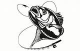 Bass Fish Hook Fishing Logo Smallmouth Drawing Svg Water Hunting Clipart Angling Vector Cricut Getdrawings Striped Fresh  Largemouth Pike sketch template