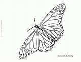 Monarch Caterpillar Bezoeken sketch template