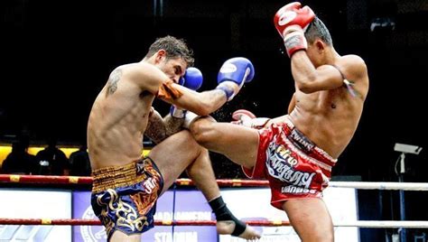real weaknesses  muay thai martial tribes