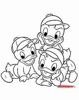 Coloring Ducktales Colorare Disegni Huey Dewey Louie Loui Donald Webby Bambini Disneyclips Designlooter sketch template