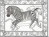 Zebra Coloring Pages Kids Adult Printable Head Print Animal Zebras Color Colouring Sheets Boom Rhythm Animals Getcolorings Band Coloringhome sketch template