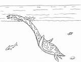 Coloring Plesiosaur Plesiosaurus Pages Reptiles Marine Robin Great Surfacing Liopleurodon sketch template
