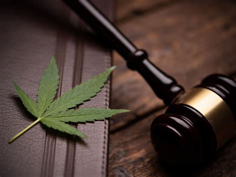 ct cannabis law impacts employees garrison law