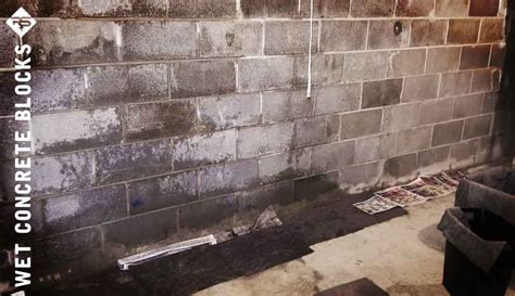 seal concrete block walls radonseal