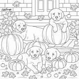 Coloring Pages Pumpkin Fall Halloween Puppies Pumpkins Printable Kids Sheets Colouring Color Choose Board Next sketch template