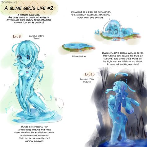 life cycle of slime girl 2 monster girls know your meme