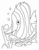 Fish Coloring Pages Dive Printable Two Worksheets Worksheeto sketch template