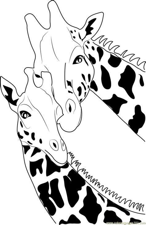 giraffe coloring page  kids  giraffe printable coloring pages