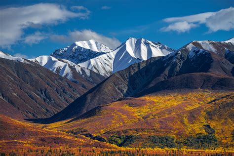 alaska snow capped mountains  fall color tundra photo