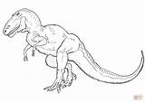 Rex Tyrannosaurus Coloring Pages Dinosaur Printable Drawing sketch template
