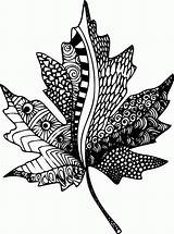 Coloring Zentangle Leaf Pages Printable Zen Mandala Zentangles Maple Clipart Leaves Templates Doodle Popular Adult Drawing Coloringhome sketch template