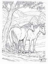 Pferde Friesen Galop Grand Coloriage Ausdrucken sketch template