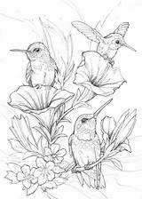 Zeichnen Ausmalen Ausmalbilder Blumen Vögel Erwachsene Mandala Homies sketch template