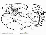 Water Monet Lily Pond Coloring Bing Lilies Sheets Worksheets Pages Color Preschool Education Worksheet Flowers Open sketch template