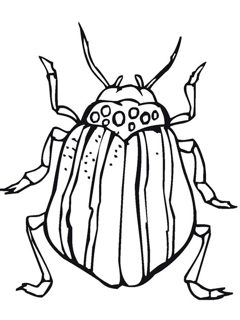 insect printable coloring pages printable world holiday
