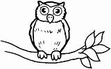 Coloring Owl Pages Owls Colouring sketch template