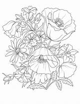 Coloring Pages Adult Adults Flower Drawing Printable Flowers Beautiful Realistic Colouring Printables Rose Books Color Book Sheets Line Pretty Plants sketch template