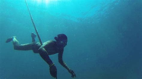 bajau community of southeast asia are born divers education today news