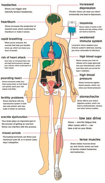 the effects of stress on your body