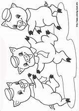 Little Pigs Three Coloring Pages Getcolorings Pig Printable sketch template