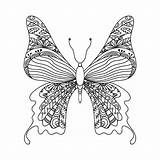 Coloring Cleverpedia Pencils Butterfly sketch template