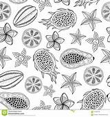 Coloring Tropical Fruits Graphic Seamless Adults Pattern Illustration Vector Sketch Preview sketch template