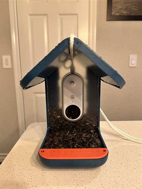 Review New Smart Bird Feeder With A Camera And Sleek App Bird Buddy